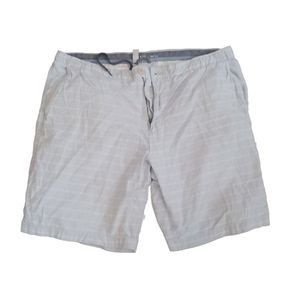 Izod Saltwater Blue and White Striped Shorts